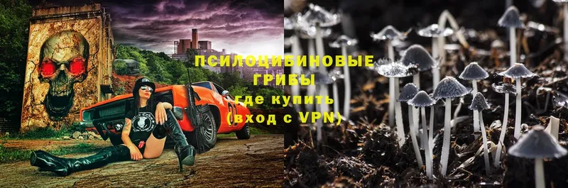 Псилоцибиновые грибы мухоморы  Межгорье 